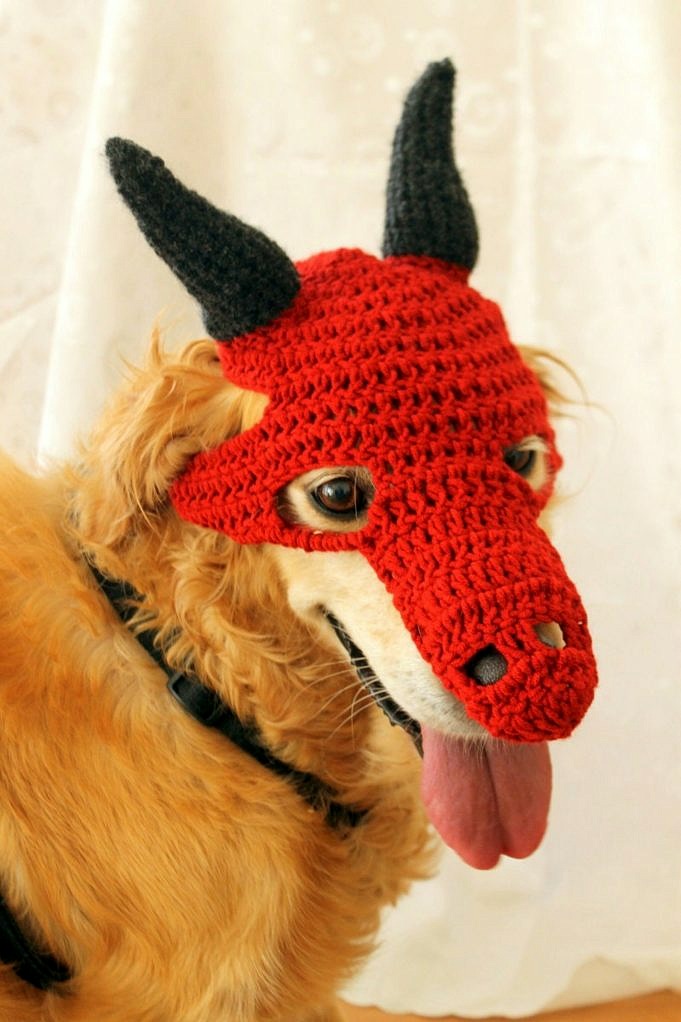 Hunde-Drachen-Kostüm Siehe Unsere Nr. 1-Empfehlung!